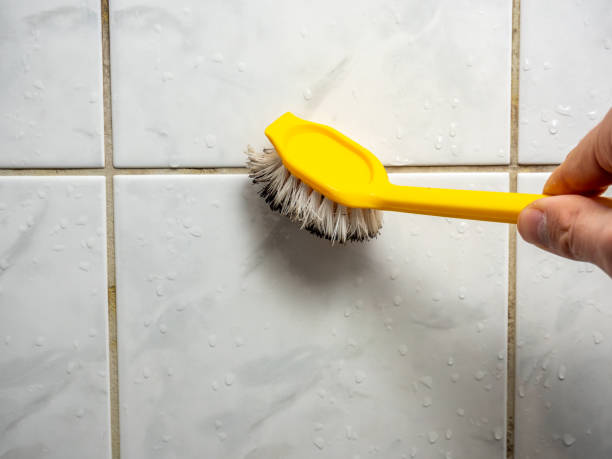 Best Same-Day Mold Removal  in Riverdale, CA