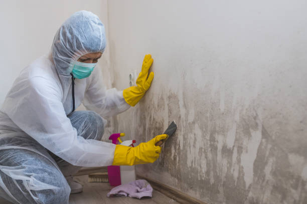 Best Mold Removal and Inspection  in Riverdale, CA
