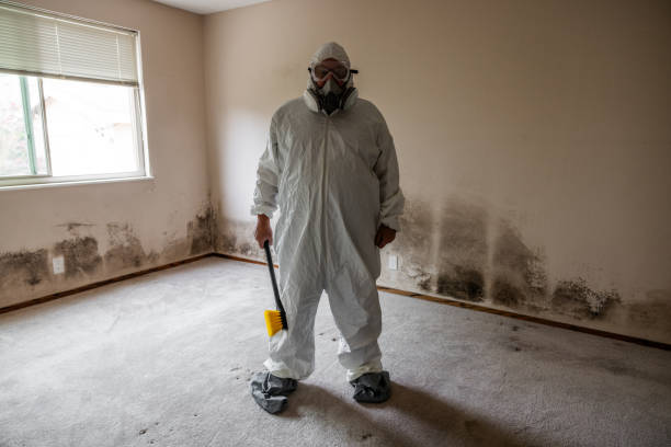 Best Mold Removal Process  in Riverdale, CA